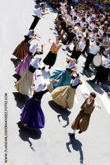 _MG_7134-vi.jpg, 55 KB